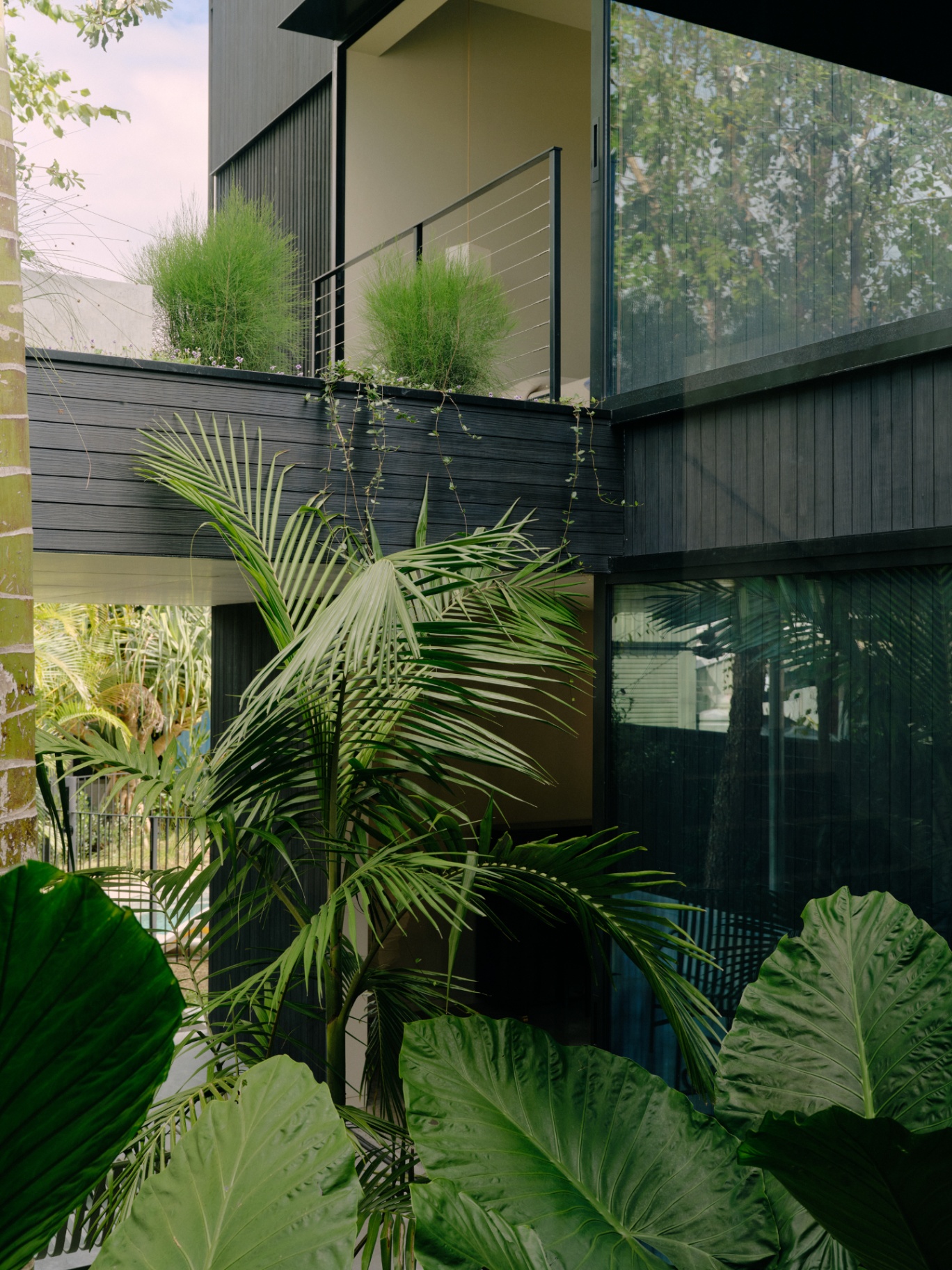 Upper balcony over the courtyard planting