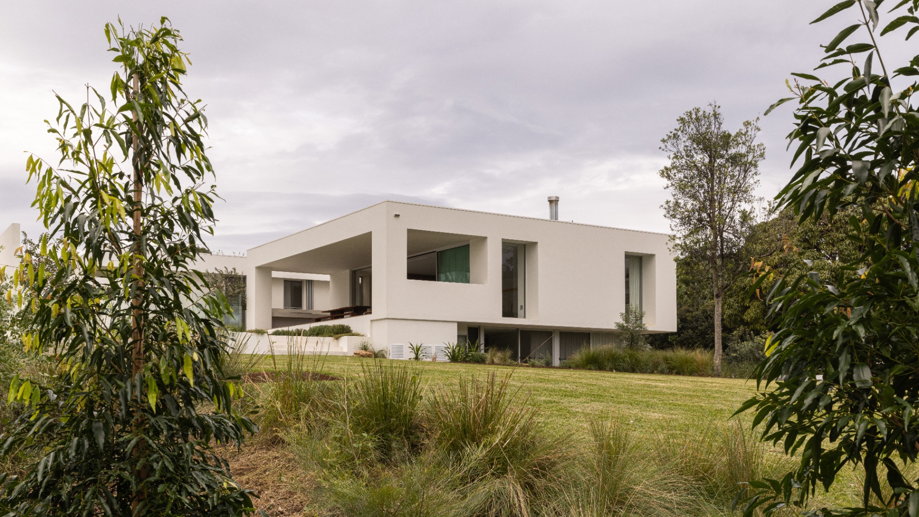 Lawn elevation through planting