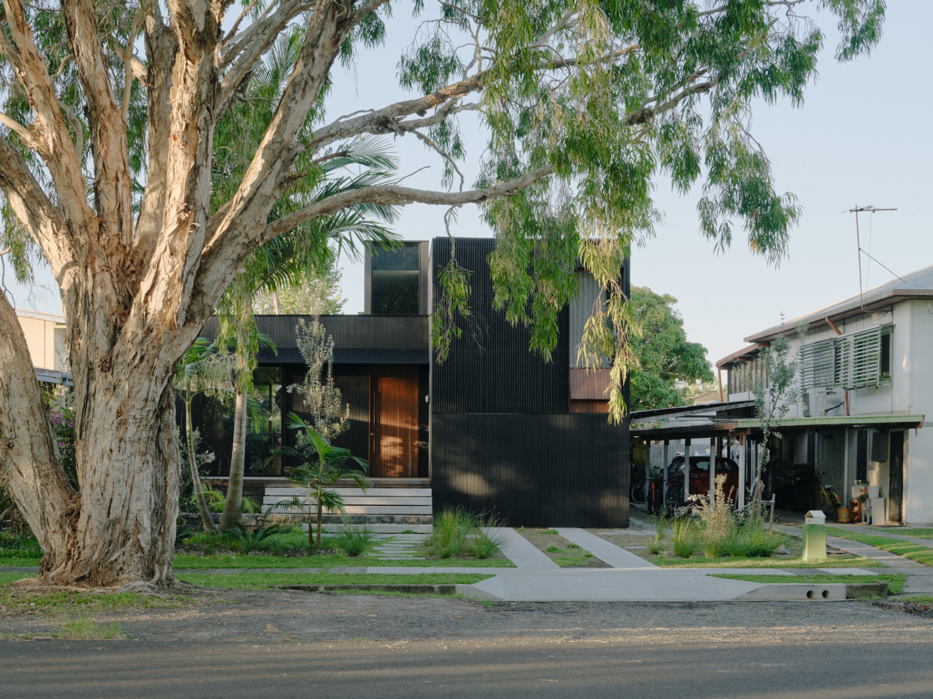 Street elevation, paperbark canopy
